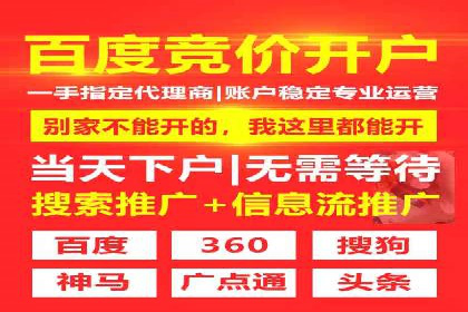 行业领先企业如何通过SEM运营提升ROI